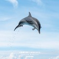 『水族館の美しい生きものたち －Aquarium Gradation－』株式会社KADOKAWA