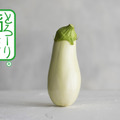 とろ～り旨なす
