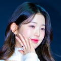 IVE・ウォニョンの大胆姿に「妖艶ずきる」「ファンの心を掴んだ」との声 画像