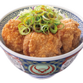 吉野家、本日から「から揚げ」が100円引き！1週間限定で「から揚げ祭」が開催 画像