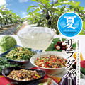ブロンコビリー『夏サラダバー』