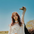 小林由依