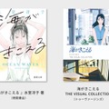 ビジュアルコレクション　（C） 1993 Saeko Himuro/Keiko Niwa/Studio Ghibli, N