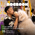 スタンダードプードルのガホちゃんがモデル！ 「うちのこ写真集シリーズ」第5弾が発売 画像