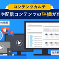 コンテンツカルテ調査(C)ビデオリサーチコミュニケーションズ