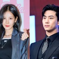 世界遺産の“宝物”に釘を打った韓国ドラマスタッフ、起訴猶予処分に　『グランメゾン』俳優も謝罪 画像