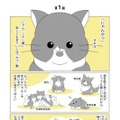 『にゃんかつ 11匹と2人の暮らし』（C）KADOKAWA