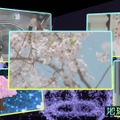 『地球解析～宇宙から探せ！究極の花見スポット～』（C）NHK
