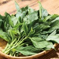 クセがなくトロネバ食感を楽しめる「モロヘイヤ」