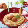 なか卯「紀州南高梅(きしゅうなんこううめ)おろしうどん」