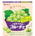 生果実のリアルな風味を再現！山梨県産シャインマスカット使用「ご当地くだものフルーチェ」11日より発売 画像