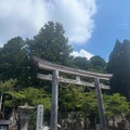 （写真は桜井日奈子の公式インスタグラムより）※所属事務所より掲載許諾をいただいています