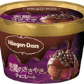 チョコレートの“圧倒的な濃厚感”を堪能！ハーゲンダッツ、「天使と悪魔」の新アイスが発売！ 画像