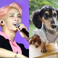 SHINee・ジョンヒョンさんの愛犬ルー、15歳で虹の橋を渡る。家族が報告「ずっと愛してる。もう会いたいよ…」 画像