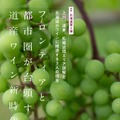 『Winart（ワイナート）』2025年秋号（122号）（美術出版社）