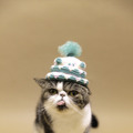 （C）ねこ休み展