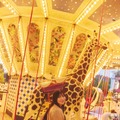 日向坂46・河田陽菜と“遊園地デート”へ！ロマンチックな先行カットが公開 画像