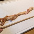 スタミナ丼の具　撮影＠渡邉
