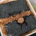 福豆屋ののり弁＠撮影　渡邉