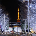 東京・冬の風物詩『けやき坂イルミネーション』が今年も開催！11月4日から約93万灯のLEDが夜を彩る 画像