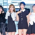 悪質コメントに「もっとやれ、私の原動力たち」と煽るNMB48元メンバー　応援棒の“デザイン盗用”議論もお構いなし？ 画像