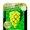 アサヒグループ食品、サイバー攻撃の影響で新商品発売延期...「ミンティア」や「1本満足バー」など 画像