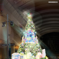 クイーンズスクエア横浜に“すみっコぐらし”のクリスマスツリーが登場！11月6日には点灯式も開催 画像