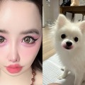 犬に“口紅”塗りたくり炎上　「64272e兆億ウォン」告訴に続いて韓国アイドルがまたしても奇行 画像