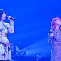 「Spicy Sessions -THE LIVE-」