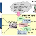 実証実験の概要