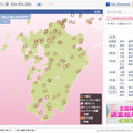 九州の開花状況