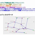 実験の実施内容