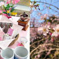 「桜紅茶と桜クッキー」の限定特典