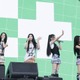 ILLIT、約3万人来場の「LuckyFes’26」に初出演！最新曲『I Got Your Back』など全8曲で会場を魅了 画像