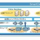 シトリックス、NTTコムウェアのクラウドサービス「SmartCloud」にデスクトップ仮想化ソリューションを導入 画像
