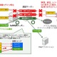 日本HP、シングルサインオン製品の最新バージョン「HP IceWall SSO Ver.10.0」を発表 画像