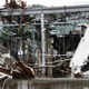 【地震】NTT東日本、約9割の通信ビルで機能回復 画像