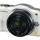 パナソニック、世界最小・最軽量のフラッシュ内蔵レンズ交換式デジタルカメラ「LUMIX DMC-GF3」 画像