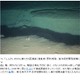 巨大断層がくっきり！ 「しんかい6500」による東日本大震災震源域の海底写真公開 画像