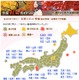 秋の行楽シーズン到来！ 色づき具合がひと目でわかる「紅葉特集2011」 画像
