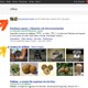 Googleが検索対象にGoogle+を含めるサーチ・プラスを発表  画像
