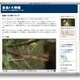放鳥トキ子育て、ライブ映像を配信 画像