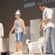 スギちゃん力技のCM出演交渉、孫社長の「やりましょう」をゲット!? 画像