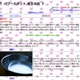 【モテる男講座 第4回】自宅をパワースポットにすればモテる 画像