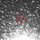 小惑星が接近　2月16日早朝［動画］ 画像