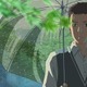 「言の葉の庭」主演に入野自由、花澤香菜　EDテーマ「Rain」作詞作曲：大江千里、歌：秦基博 画像