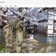 花見シーズン真っ只中、最新桜スポット50か所を紹介……「ストリートビューでめぐる日本の名所」が更新 画像