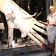ジャン・アーノルドが来日　ネイルは究極のファッションアイテム 画像