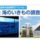 【夏休み】海浜水族園でお泊り教室…漁師体験も 画像