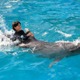 【夏休み】鴨川シーワールド「ジュニアトレーナー」 画像